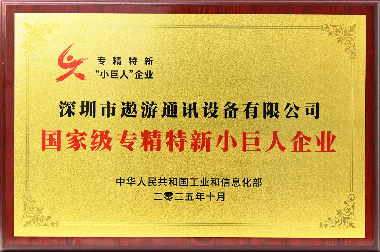 国家级专精特新“小巨人”